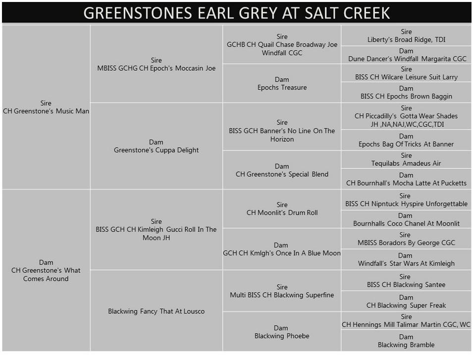 Earl Grey export pedigree certificate