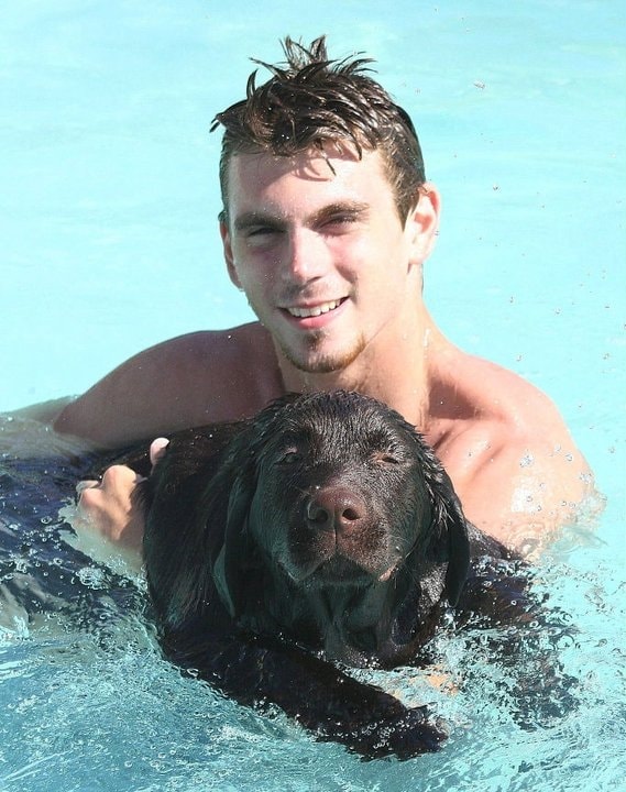 Labrador Retriever swimming